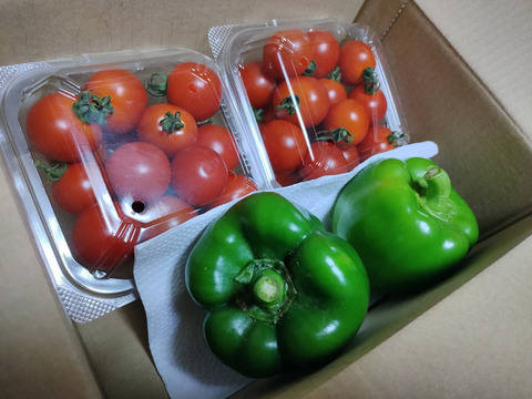 225/60R18 **トマト** 225/60R18 **トマト** 225/60R18 **トマト** ZX225USR(LC)K-7｜解体