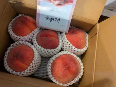 7月運命の出会い⁉️【67品種の桃を栽培】品種は何が届くかお楽しみ！白桃1.5㎏