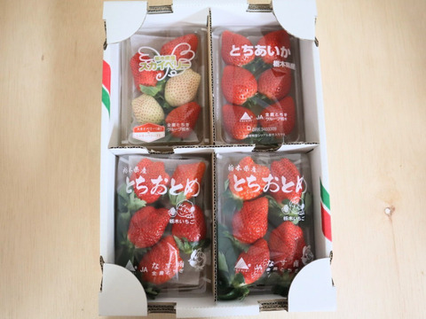 とちぎの完熟いちご３種の食べ比べセット
(とちあいか・スカイベリー・とちおとめ)
【いちご食べ比べ】