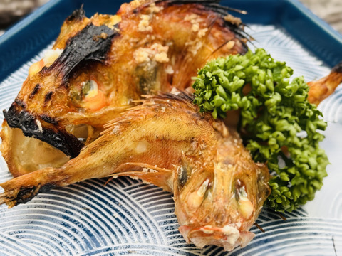 【バラ凍結】欲しい分だけ解凍OK！夢カサゴ1kg