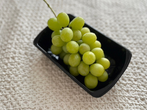 【厳選品】山形県産すとう農園のシャインマスカット（1.6~2kg)３房