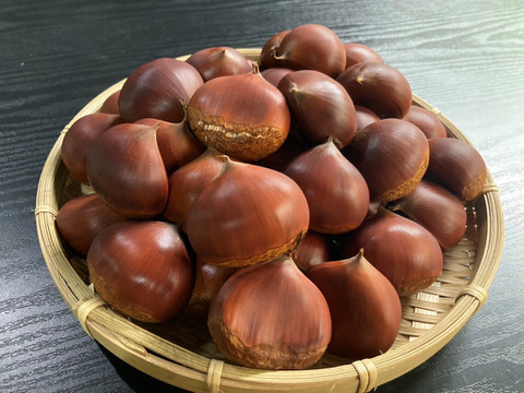 3L~2L ５キロ茨城県産 栗 生栗 筑波 3L~2L 5キロ茨城県産 栗 生栗 筑波 茨城県産 栗 （
