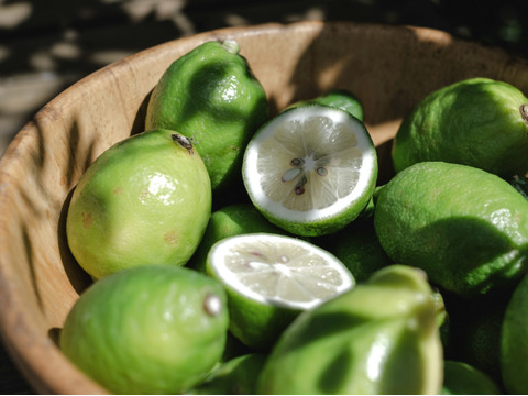 【予約限定価格】皮ごと食べられる 瀬戸内グリーンレモン 2kg 防腐剤・ワックス不使用