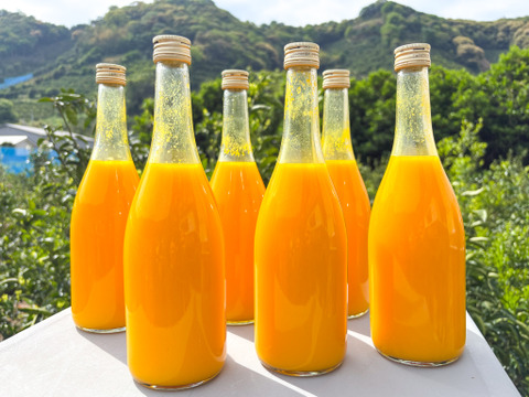 《ラベルレス・6本入り》のうろくジュース◆オレンジ感たっぷり！濃厚な味わいを楽しめます！◆添加物・保存料不使用！