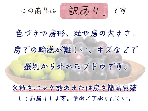 花笑み農園　岡山の訳ありブドウ2種食べ比べ　1kg【9/18～順次発送】W2M-1