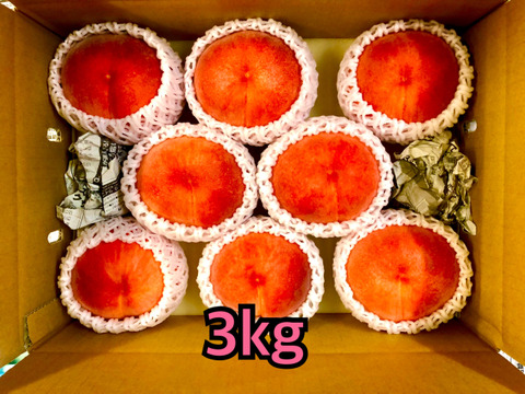 桃　なつっこ　良品　約3kg 長野県産