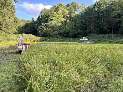 新米！2025年奈良県山添の『あきたこまち』（白米）10kg