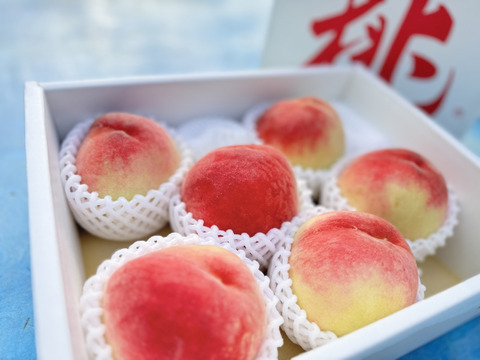 あらかわの桃 【訳あり】 お得 『旬おまかせ』（大玉サイズ 5〜6玉