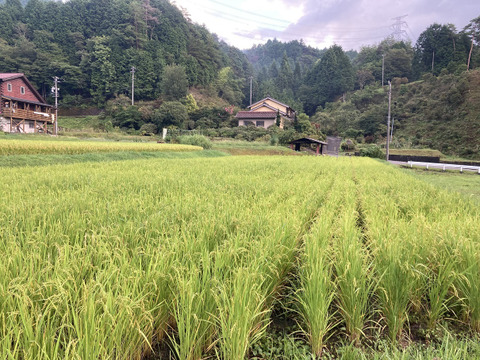 【自然栽培】あきたこまち玄米１０kg　農薬不使用・無肥料栽培　令和５年　岐阜県産