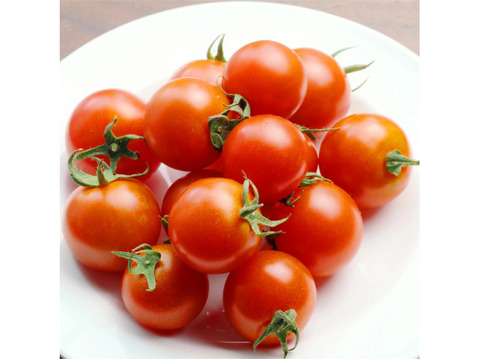 中玉トマト フルティカ 1kg（兵庫県産・農薬不使用）産地直送