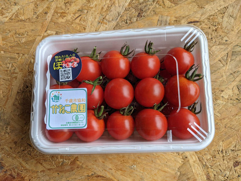 今年の夏も【かねこ農園】のスイカとミニトマトが食べたーい！！　北海道産【小玉スイカ】「ピノガール」1玉+有機ミニトマト「ほれまる」500ｇ×2パックセット！