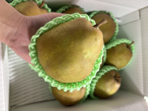 まるせい果樹園のラ･フランス　2kg箱　玉数指定不可　nr4