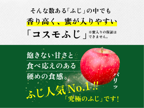 りんごGP2025最高金賞1位🎊【究極のサンふじ】コスモふじ 3キロ箱 商品ID52651 長野県 信州 安曇野 リンゴ 幻 幻のリンゴ  希少 旬 甘い ふじ サンふじ 6玉〜15玉
