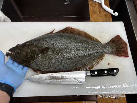 【食通好みの逸品】長州床波の極み肴『極み赤ナマコ』酒蔵納得仕立て澄んだ旨味☆瀬戸内ブランドお試しキャンペーン☆スライスカット約100g【1月中旬予約】