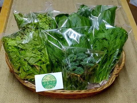 【アワード受賞福袋】🏆 農家の食卓からお裾分け♪自分たちが食べたくて育てた、朝採れ・無施肥の冬野菜 4種セット🥗