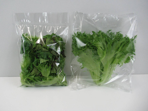 【中容量】日常使いに！洗わずに食べられるレタス9点セット（780ｇ）