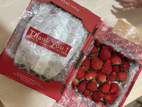 【春の🍓祭り】口いっぱいにあふれる果汁♬ 〘♡いちごさん♡〙　❤ 7 ００ｇ×２❤