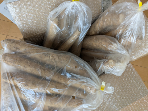 正規品売り切れの為
【⚠️規格外】小さなナガイモ4.5kg販売します★物価高騰､生活応援価格‼️