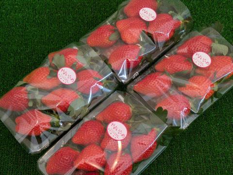 採れたて完熟「やよいひめ」約260g✕4パック