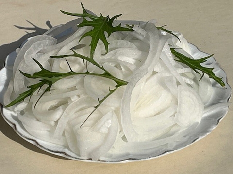甘くみずみずしい　❣❣　　　　
　九十九里産　新玉ねぎ　2Kg