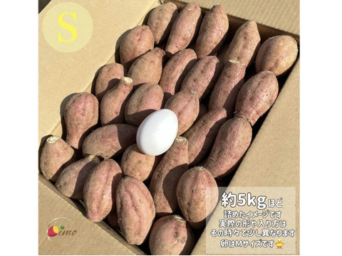 種子島産安納芋 2S&S 混合サイズ 2kg｜甘くて濃厚🍠｜aimo農園直送
