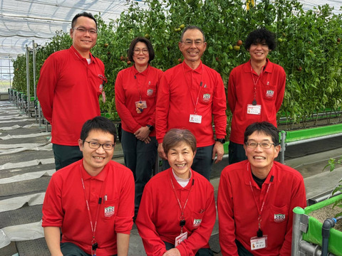 ずっしり❗️朝採り完熟トマト(規格外ダブル)