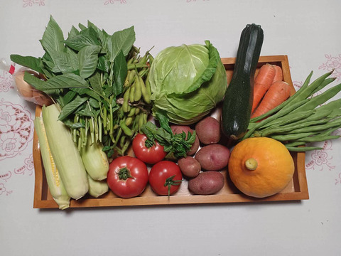 安心・安全な「夏」の旬のおまかせ野菜セット　７～８種類