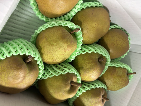 まるせい果樹園のラ･フランス　　3kg箱　玉数指定不可　nr1