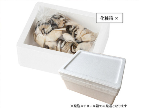 鍛え牡蠣　期間限定価格★  旬です 今食べたい 広島牡蠣老舗の味！
