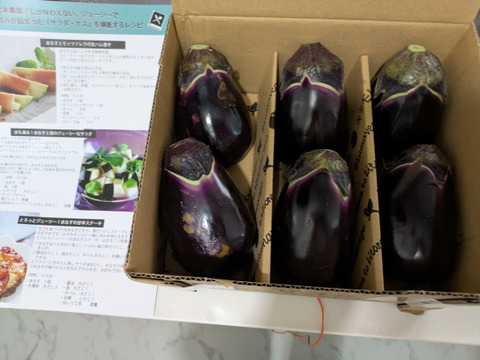 甘くてジューシー！生食に特化した泉州水なす　～サラダ・ナス～　6個入り