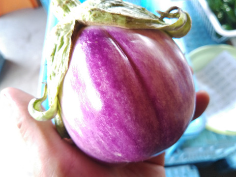 ロッサビアンコ1kg以上