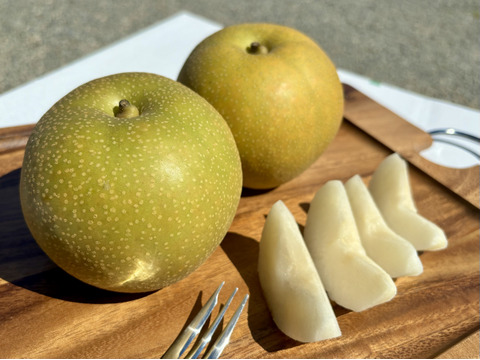 昨年大好評！『清流球磨梨』幸水　約5kg(5〜14個入り)