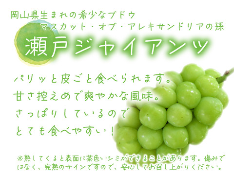 花笑み農園　岡山の瀬戸ジャイアンツ１kg（２房）【9/27～順次発送】G-1