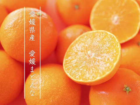 【ご家庭用】完熟甘～い愛媛まどんな１ｋｇ 農薬不使用 自然栽培 愛媛県産