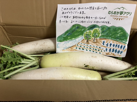 【高原大根】　≪神鍋高原、寒暖差のある地域で育まれた水分・甘みたっぷりの大根≫（３本）