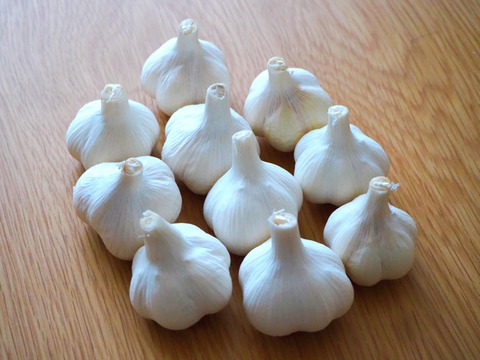 素揚げが大好評！田子町産にんにく【お試し5玉】