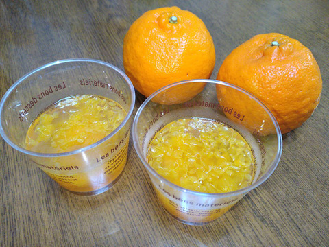 【加工用】土佐の温暖な気候で、うま味がギュッ！！と詰まったぽんかん（キズ大め　M～２Ｌ　５キロ）