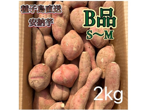 【絶品】aimo農園｜種子島産安納芋 B品(S~Mサイズ)  2kg(箱別)