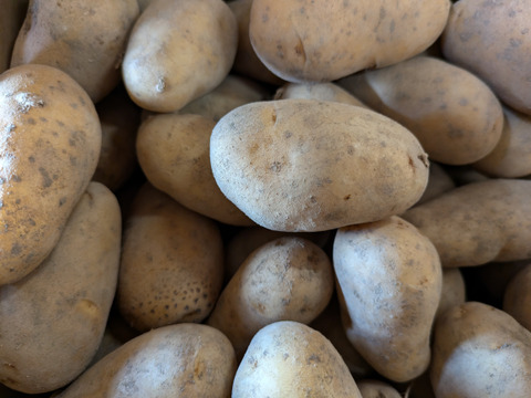 北海道産新じゃが メークインSサイズ 18kg：北海道産のメークイン