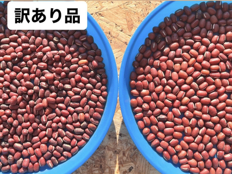 さやあかね7kg と 訳あり小豆900gのセット：北海道産の野菜セット