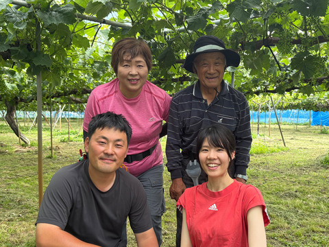 クセになる食感！早生ワッサー ギフト用（熨斗対応可）約3kg（9～13玉）【夏ギフト】【贈答用】【朝どれ】