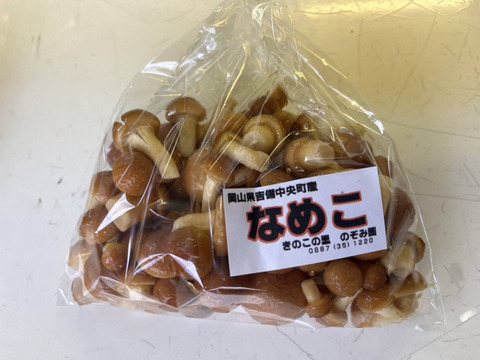旬の食材♪旨味満点！【なめこ 150g×10パック】岡山県吉備中央町産