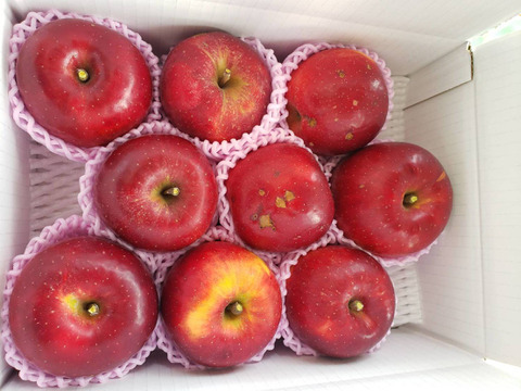 まるせい果樹園のべにこはく　3㌔　訳あり　自家用　家庭用　商品ＩＤ　Ｅ16