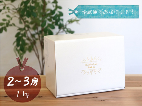 花笑み農園　岡山のBKシードレス１kg（２～３房）【9/14～順次発送】B-1