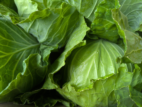 🎃🍁秋の野菜セット🍁🎃