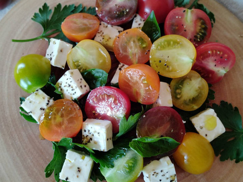 新品種！しっかりとした食感！甘味と酸味！「276」1kg