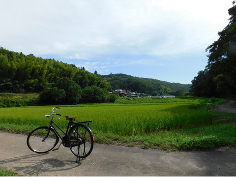 お試し用！令和７年産自然栽培　古代米ブレンド（４５０ｇ)