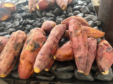 鳥取大山の麓　紅はるか5kg(大小詰め合わせ) 　女性のパワーで大地を彩る