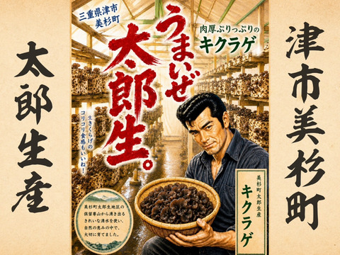 三重県美杉町産　生きくらげ　１ｋｇ