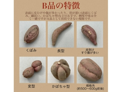 【絶品】aimo農園｜種子島産安納芋 B品(M~2Lサイズ) 10kg(箱別)